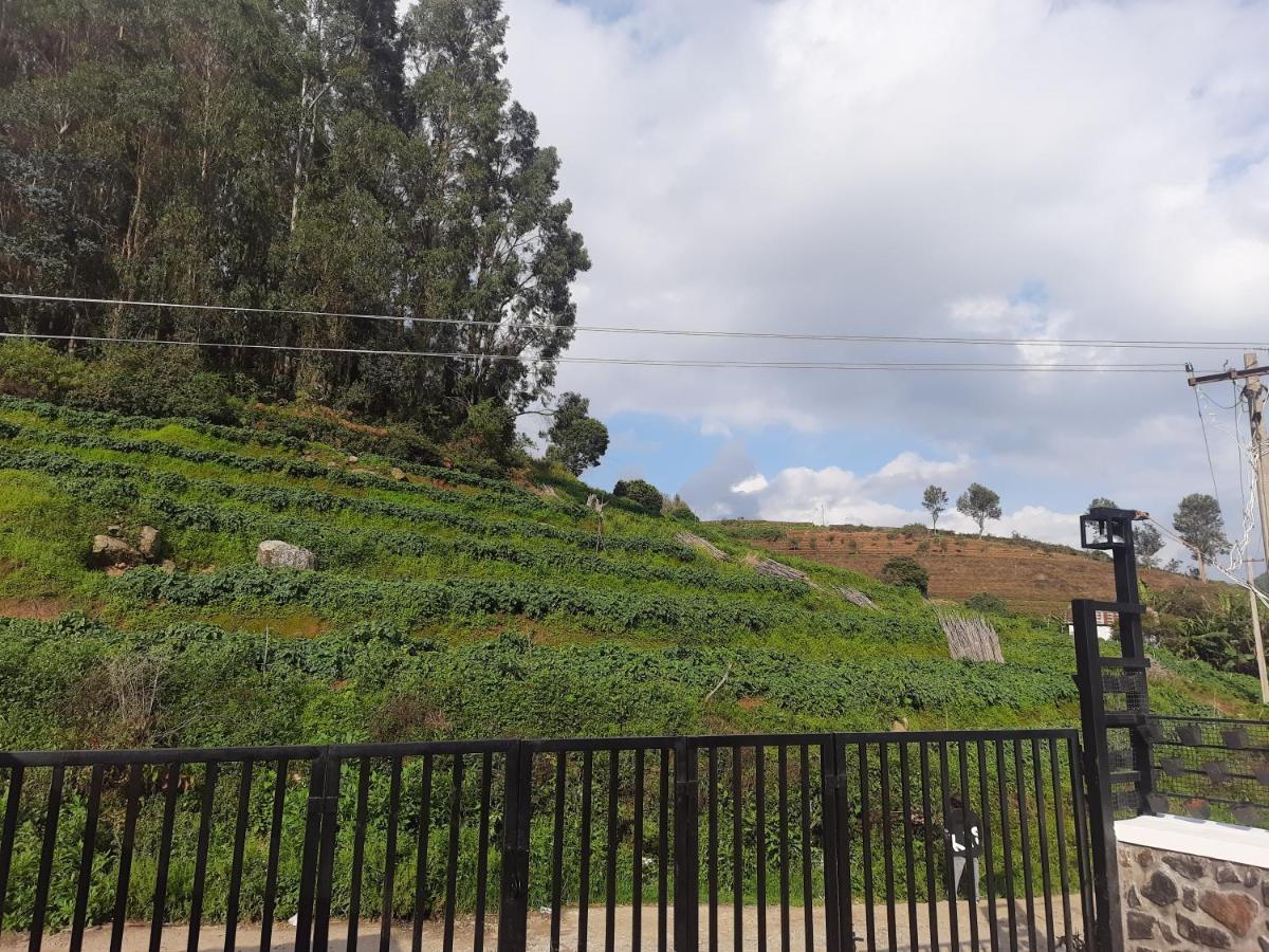 Thesula Valley 科代卡纳尔 外观 照片
